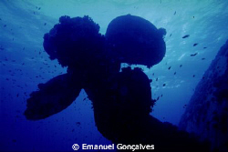 Salem Express Shipwreck Propeller, Egyptian Red Sea, Niko... by Emanuel Gonçalves 